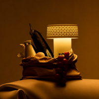 FU Ambient Lamp — RYKL0001 Default Title — image 2